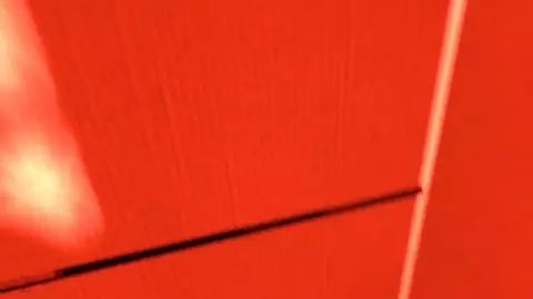 Mario Girls Compilation