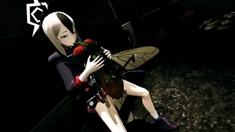 [Insect] Night and silver fly