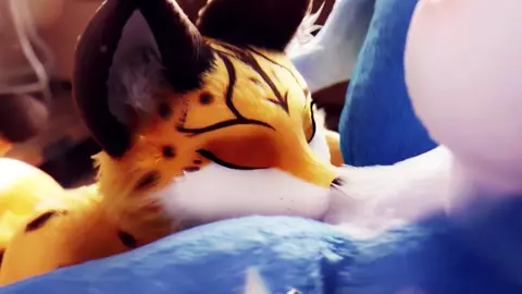 U&U - Furry Sluts Compilation - Yiff PMV