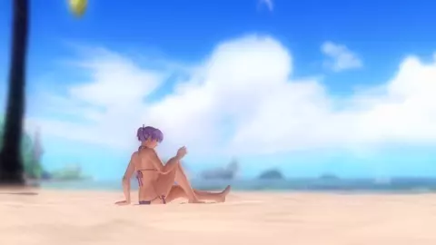 Dead or Alive Beach Paradise HDM MOD
