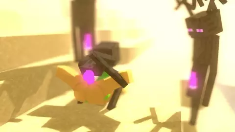 Pearick Summer Vacation!