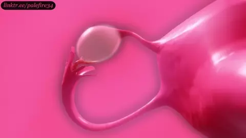 Aerith - Forced Ovulation and Impregnation