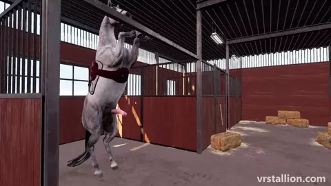 VR Stallion 1.5 | Desktop Gameplay