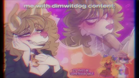dimwitdog hmv/pmv