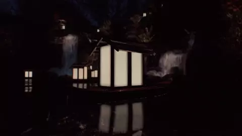 Ryu Hayabusa & Momiji Ninjas Night Time