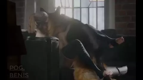 Dog-gon Compilaton 1