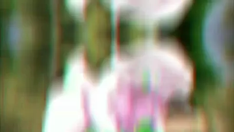 POKEMON PMV: Melody Lullaby