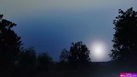 Emily's Diary - Episode 12 (Part 1)