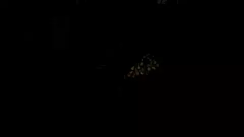 Cahara Getting Laid and Transformed [Fear and Hunger]