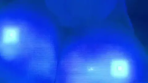 CLUB DANCE DRAGON HEART (SPECIAL)