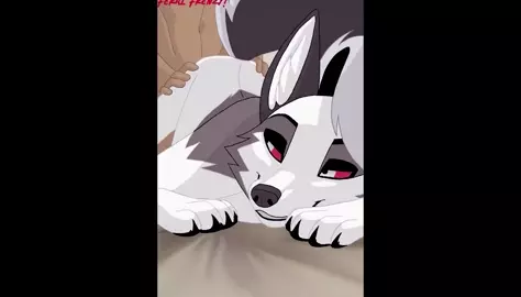 Loona Creampie Compilation [Part 1]