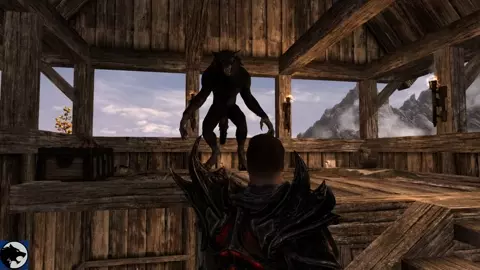 Meeting with the wolf