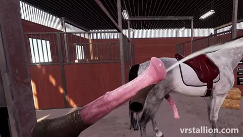 VR Gameplay | VR Stallion 1.9