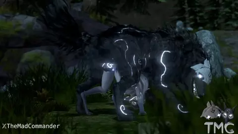 Lamb and Wolf having some fun exercising between the hunts