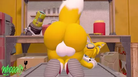 Tails Needs Your Help