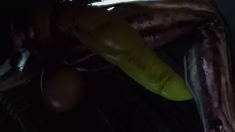 Samus Vs Predalien (26RegionSFM PMV)