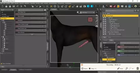 How to add the cockorama k9 cock to Daz Dog 8