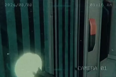 XENOMORPH HORROR PMV