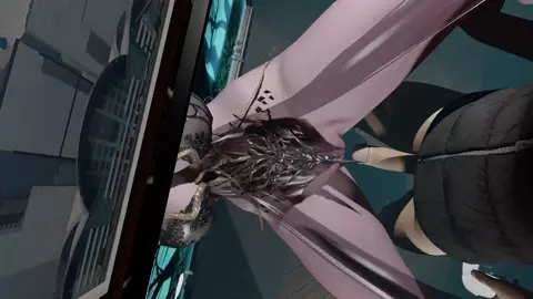 VAM Echidna Videogame