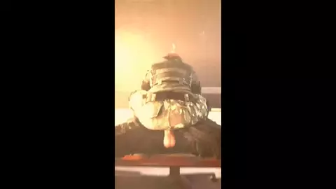 Alibi covering riding