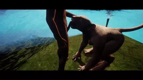 Big Cats Favourite Snack