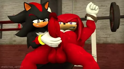Shadow and Knuckles