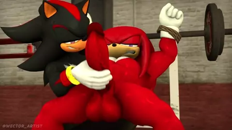 Shadow and Knuckles