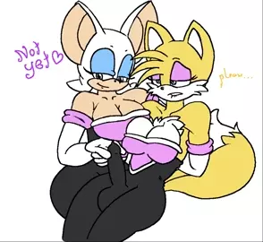 Rouge and Futa Tails