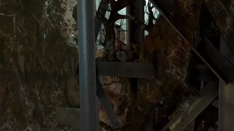 Gamma hunter complete episode. Original