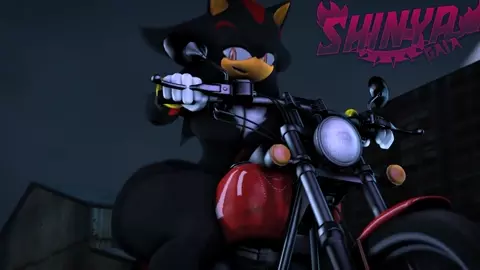 Shadow Riding Motorcycle