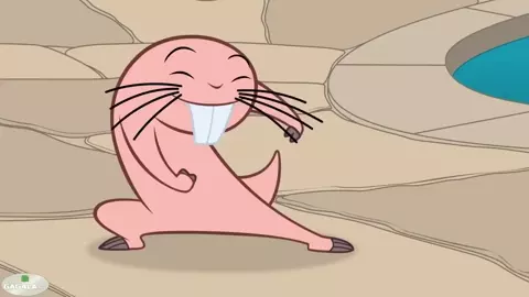 Rufus and the diving board with sound