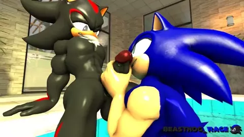 Sonic and Shadow [DarkBeasthog]