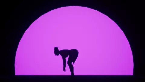 Papi (PMV) (Wildlife)