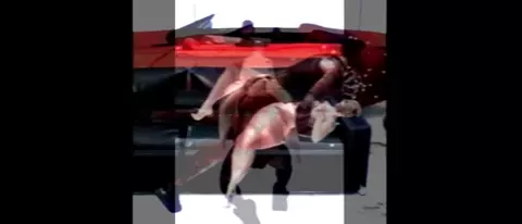 Morning with the bad kitty