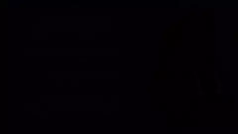 Bunny Boi Fucked by Futa Horse Cock - "Deep Mistake"