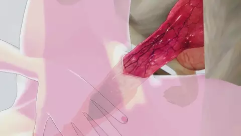 Beach dog encounter full movie