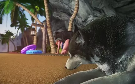 Chloe and the Canines