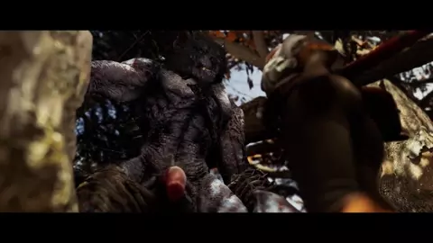 animals (werewolf hmv)