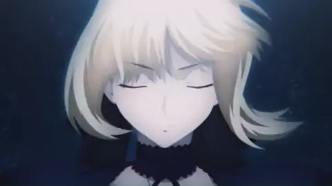saber and jeanne alter:fate alter tribute mk 5