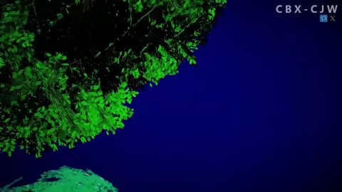 Roxy: Have you been practicing magic well?