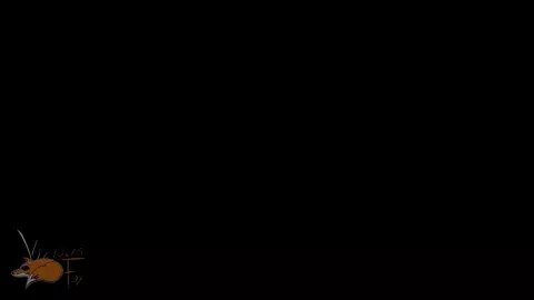 Bunny break ( twitter version )