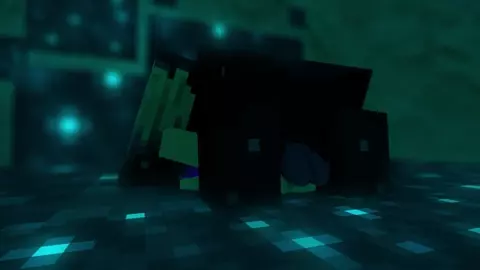 Warden Mine // Full Animation