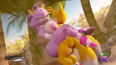 Blaze and Tails in Oasis