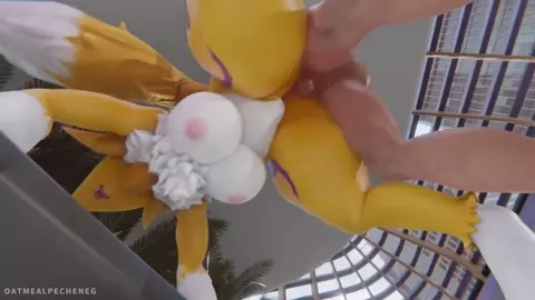 Renamon Compilation 2