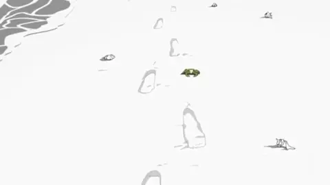 Naruto Shippuden ED (4K@60) [S10collage]