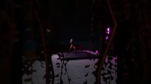 Sex Under The Stars - Wild Life PMV