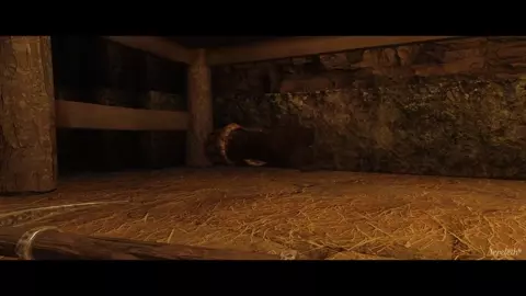 The Dragonborn’s Resolve