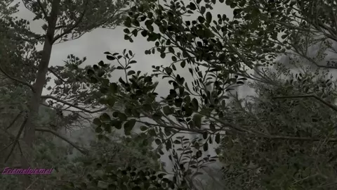 Wildchild: The Adventures of Fauna (Revival Trailer)