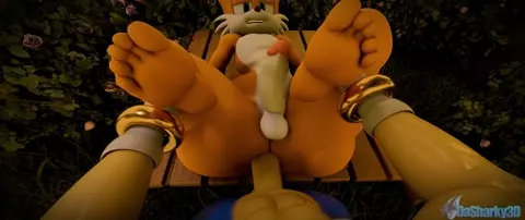 [Dasharky3d] Sonic X Tails