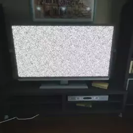 reptile furry girl in the tv